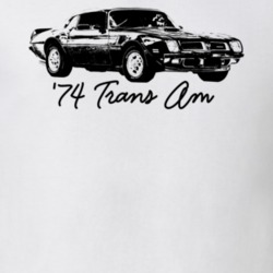 1974 Firebird Trans Am Three Quarter View With Model Year Light Color 