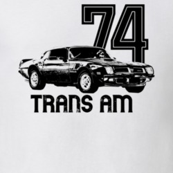 1974 Firebird Trans Am Three Quarter View With Year And Model Light Co