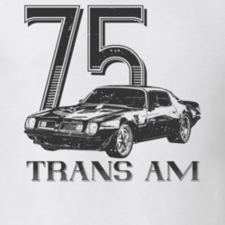 1975 Firebird Trans Am Three Quarter View Vintage Style Light Color T 