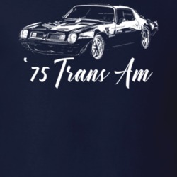 1975 Firebird Trans Am Three Quarter View With Model Year Dark Color T