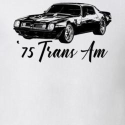 1975 Firebird Trans Am Three Quarter View With Model Year Light Color 
