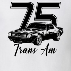 1975 Firebird Trans Am Three Quarter View With Year And Model Light Co
