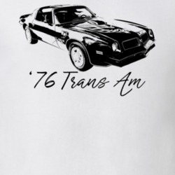 1976 Firebird Trans Am Three Quarter View With Model Year Light Color 