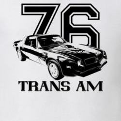1976 Firebird Trans Am Three Quarter View With Year And Model Light Co