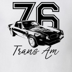 1976 Firebird Trans Am Three Quarter View With Year And Model Light Co