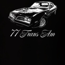 1977 Firebird Trans Am Three Quarter View With Model Year Dark Color T