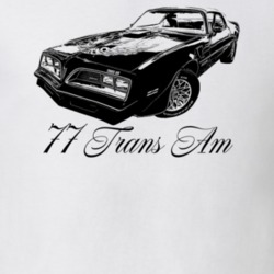 1977 Firebird Trans Am Three Quarter View With Model Year Light Color 