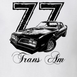 1977 Firebird Trans Am Three Quarter View With Year And Model Light Co