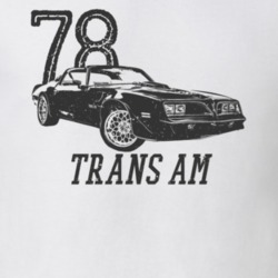 1978 Firebird Trans Am Three Quarter View Vintage Style Light Color T 
