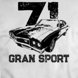 1971 Gran Sport Three Quarter View With Year And Model Light Color T S