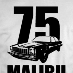 C1974 Chevy Malibu 3 Point View Withyear And Model Black T Shirt