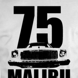 1975 Chevy Malibu Grill View Black With Year And Model T Shirt