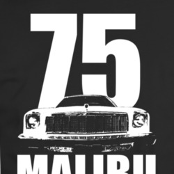 1975 Chevy Malibu Grill View White With Year And Model T Shirt