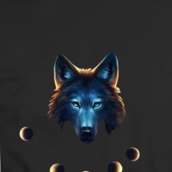 Wolf With Moon Cycles T Shirt