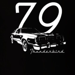 1979 Thunderbird Three Quarter Angle With Model Name And Year Black T 