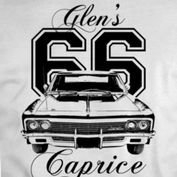 1966 Caprice Glen Custom Grill View With Year And Model Light Color T 