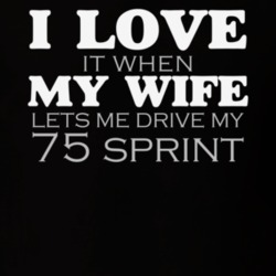 Love It When My Wife Lets Me Drive My 1975 Sprint Funny Dark Color T S