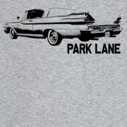 1959 Park Lane Three Quarter Rear Angle View With Model Name Light Col