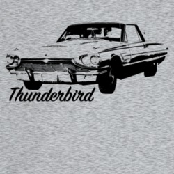 1965 Thunderbird Three Quarter Angle View With Model Name Light Color 