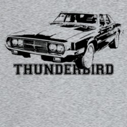1969 Thunderbird Three Quarter Angle View With Model Name Light Color 