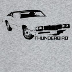 1970 Thunderbird Three Quarter Angle View With Model Name Light Color 