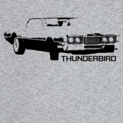 1971 Thunderbird Three Quarter Angle View With Model Name Light Color 