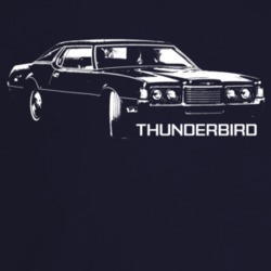 1971 Thunderbird Three Quarter Angle View With Model Name Dark Color T