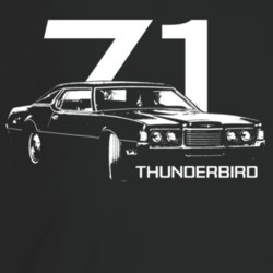 1971 Thunderbird Three Quarter Angle View With Year And Model Name Dar