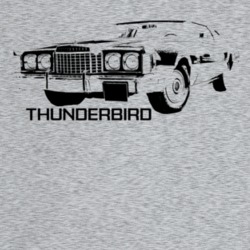 1972 Thunderbird Three Quarter Angle View With Model Name Light Color 