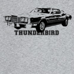 1973 Thunderbird Three Quarter Angle View With Model Name Light Color 