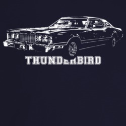 1973 Thunderbird Three Quarter Angle View With Model Name Dark Color T