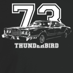 1973 Thunderbird Three Quarter Angle View With Year And Model Name Dar