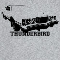 1974 Thunderbird Three Quarter Angle View With Model Name Light Color 
