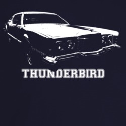 1974 Thunderbird Three Quarter Angle View With Model Name Dark Color T