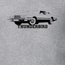 1975 Thunderbird Three Quarter Angle View With Model Name Light Color 