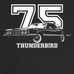 1975 Thunderbird Three Quarter Angle View With Year And Model Name Dar