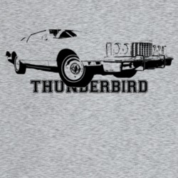1976 Thunderbird Three Quarter Angle View With Model Name Light Color 