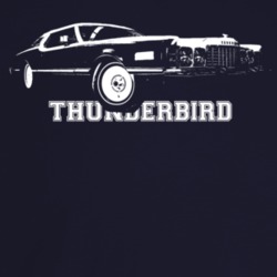 1976 Thunderbird Three Quarter Angle View With Model Name Dark Color T