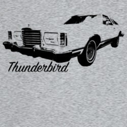1978 Thunderbird Three Quarter Angle View With Model Name Light Color 