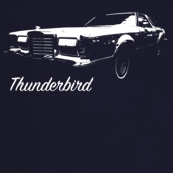 1978 Thunderbird Three Quarter Angle View With Model Name Dark Color T