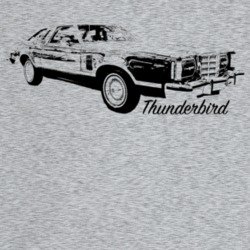 1979 Thunderbird Three Quarter Angle View With Model Name Light Color 