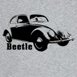 1938 V W Beetle Three Quarter Angle View With Model Name Light Color T