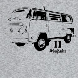 1977 V W Type 2 Westfalia Three Quarter Angle View With Model Name Lig