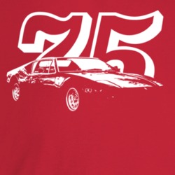 1975 Pantera Three Quarter Angle View With Year Dark Color T Shirt