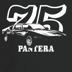 1975 Pantera Three Quarter Angle View With Year And Model Name Dark Co