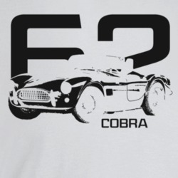1962 Cobra Three Quarter Angle View With Year And Model Name Light Col