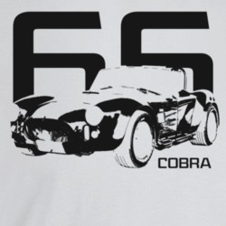 1966 Cobra Three Quarter Angle View With Year And Model Name Light Col