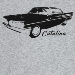 1959 Catalina Three Quarter Angle View With Model Name Light Color T S