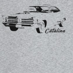 1966 Catalina Three Quarter Angle View With Model Name Light Color T S