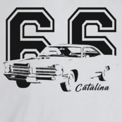 1966 Catalina Three Quarter Angle View With Year And Model Name Light 